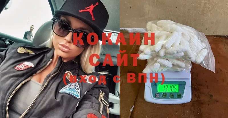 COCAIN FishScale  Западная Двина 